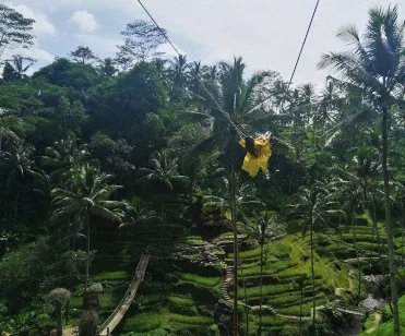 Jungle Swing